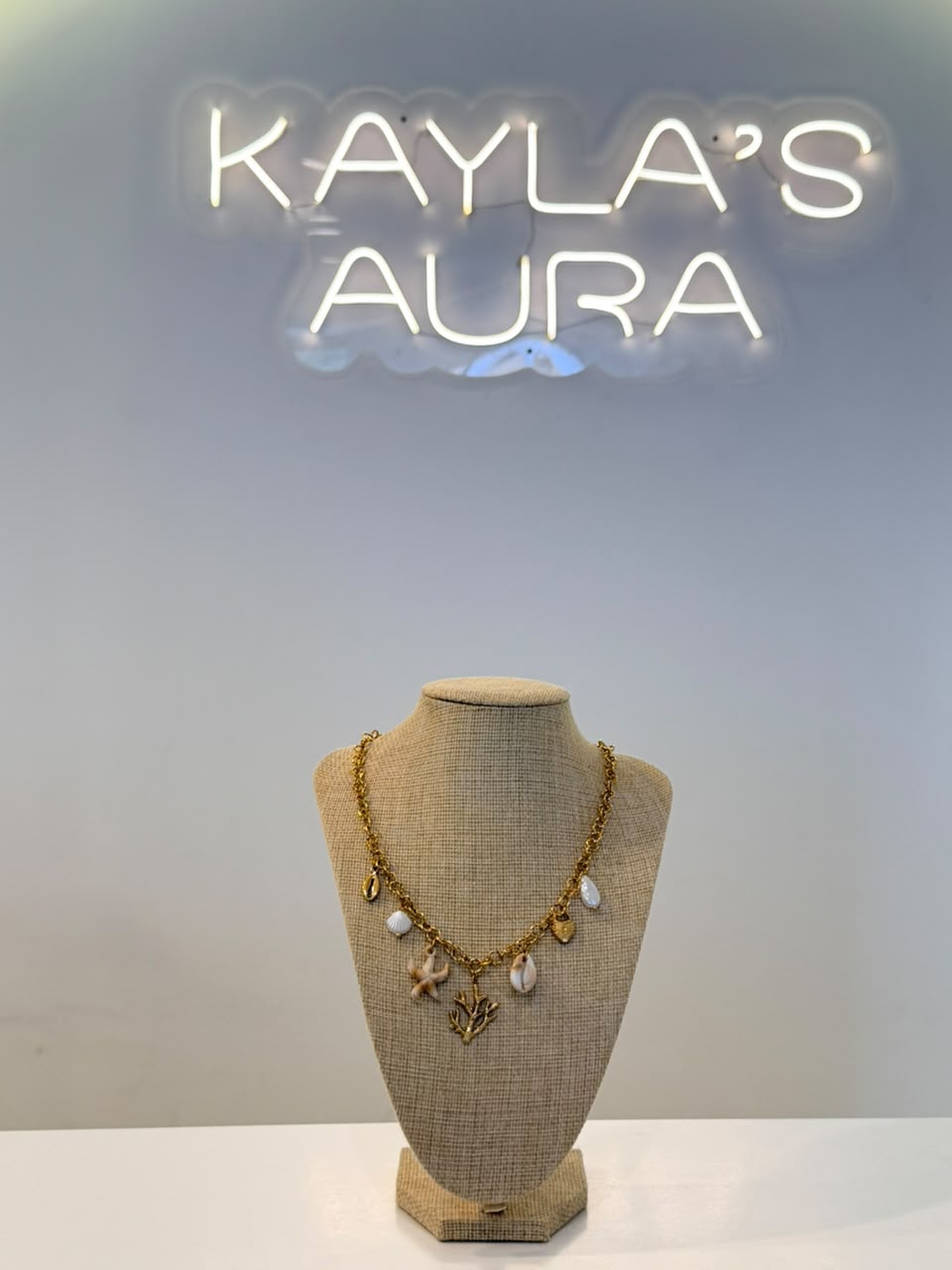 The Coral Reef Chain